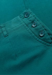 Non selezionato, teal kingfisher