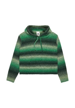 Groene gestreepte hoodie van een zachte, textuurvolle stof met een trekkoordkap en een cropped ontwerp. Accenten omvatten verschillende tinten groen.