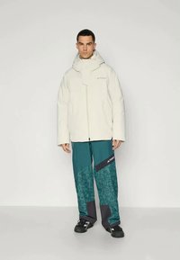 adidas Terrex Μπουφάν σκι - alumina