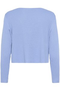 Lichtblauwe cropped sweater met ribbelstructuur, lange mouwen en een brede halslijn. Naaddetails op de mouwen voegen een subtiele ontwerpelement toe.