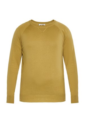 CO-BRANDED WITH SLOAN - Strickpullover - khaki