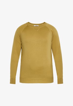 Sinepi kollane sviiter ümarate kaelustega, pikkade raglaansärkidega ning ribakudumisega mansettide ja äärtega. Sile tekstuur, lõbus disain.