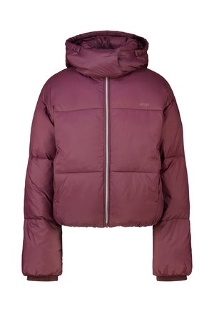 America Today, COAT - Winter jacket - bordeaux