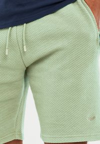 Threadbare THBFERGIE - Shorts - light green