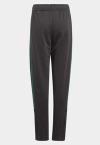 adidas Sportswear TIRO PANTS KIDS - Jogginghose - black/collegiate green