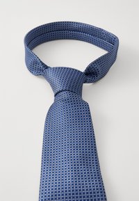 Cravatta blu con motivo a griglia in azzurro chiaro e argento. Realizzata in tessuto liscio, presenta una larghezza standard e una punta appuntita.