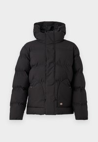 EAGLEVILLE HOODED PUFFER - Vinterjakker - black