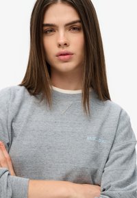 Sudadera gris con un acabado texturizado, con cuello redondo y logo bordado en azul claro en el pecho. Tejido suave, ajuste relajado.