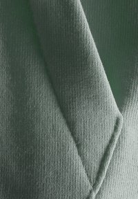 Sail Racing OCEAN - Sweatshirt - pistage green