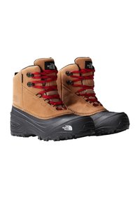 Rjave zamrznjene škornje iz semis kože z rdečimi vezalkami in črnimi gumijastimi podplati. Imajo oblazinjeno ovratnik in logo The North Face na strani.
