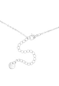 Collana in argento con anelli ovali, chiusura di sicurezza a moschettone e un piccolo tag circolare inciso con "S-steel." Texture liscia.