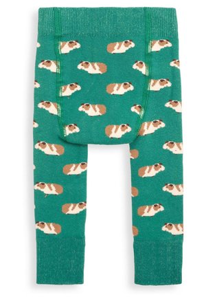 GUINEA PIG EXTRA THICK  - Leggingsit - green