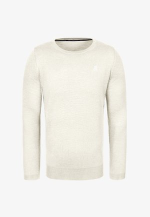 Lichtgrijze trui gemaakt van zacht materiaal. Klassiek ontwerp met ronde hals, lange mouwen en een klein logo op de borst. Glad textuur.