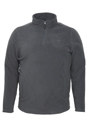 Šedý fleecový pulovr s polozipem, bočními kapsami a elastickými manžetami. Měkká textura s jemným leskem; logo na prsou.