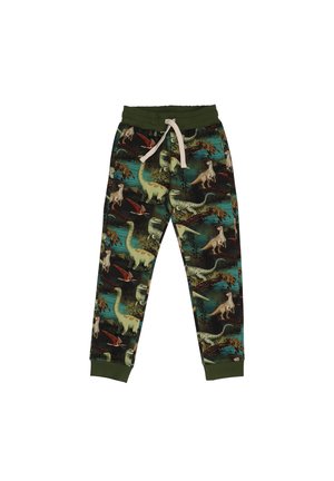 Grüne Jogginghose mit Dinosaurier-Motiv und Kordelzugbund, die verschiedene Dinosaurier-Illustrationen auf einem strukturierten Hintergrund zeigt.