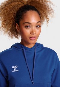Blaues Kapuzensweatshirt aus weichem Material, mit einer Vordertasche und einem weißen gestickten Logo auf der Brust. Kordeln sind enthalten.