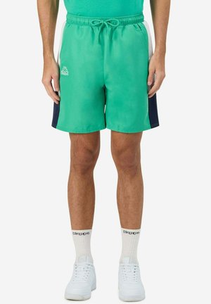 Pantaloni sportivi verdi con elastico in vita, cordino, pannelli laterali blu navy e dettaglio del logo sul lato sinistro. Indossati con sneakers bianche.