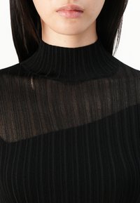 Black ribbed turtleneck top featuring a sheer overlay at the neckline, emphasizing texture and pattern details throughout the fabric.