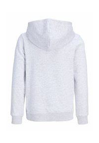 Sweat à capuche gris clair à manches longues, avec poignets et ceinture côtelés, vu de dos sur fond blanc.
