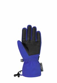 Blue and black waterproof glove with adjustable wrist strap and soft fabric tag, shown with palm facing up on white background.