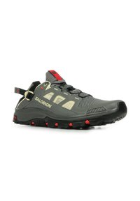 Salomon TECHAMPHIBIAN - Hiking shoes - pewter moth fiery red