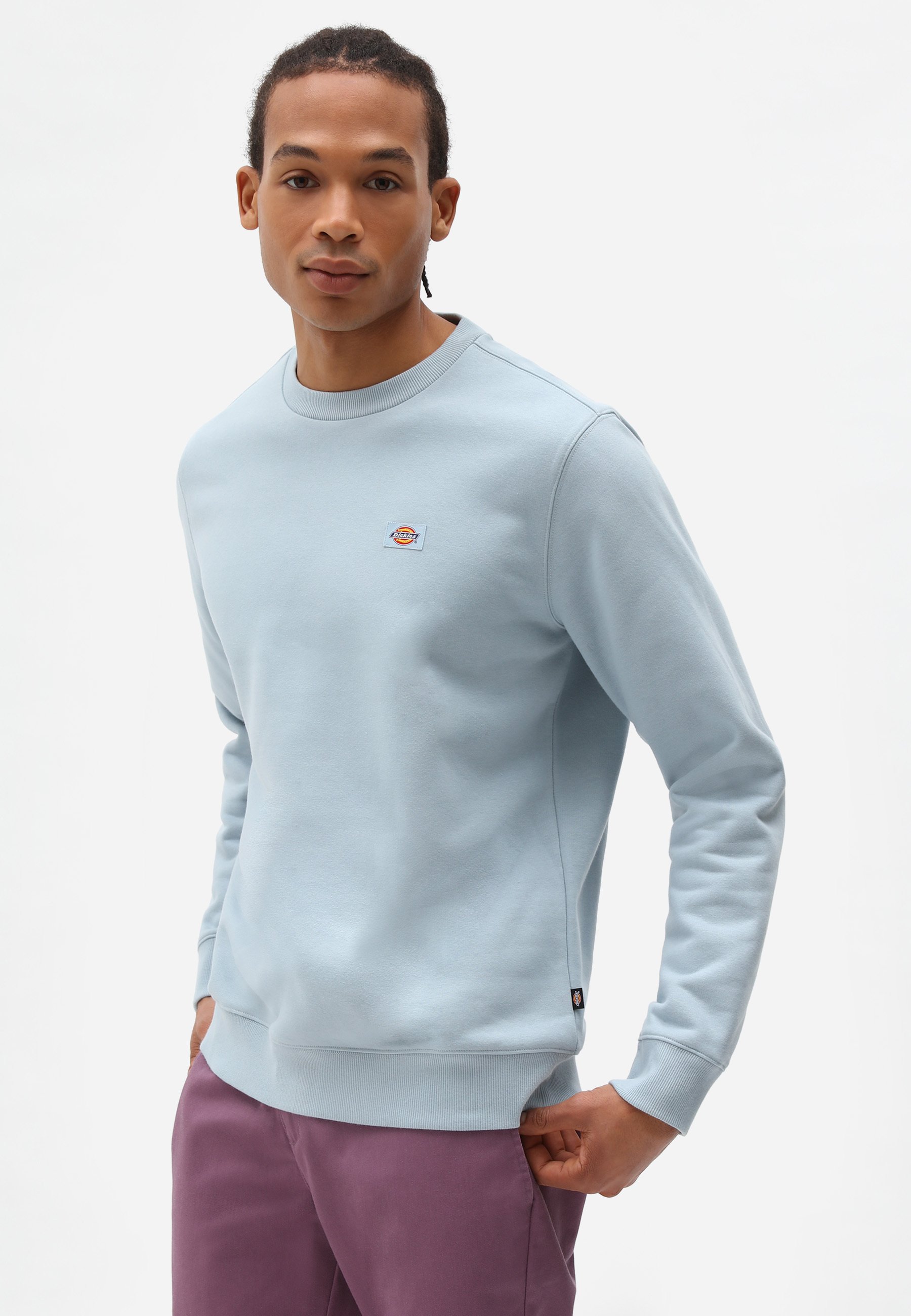 Dickies OAKPORT - Sweatshirt - fog blue 