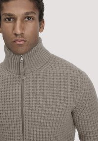 Helles graues Strickpullover mit hohem Kragen und Reißverschluss vorne, der ein strukturiertes Muster und gerippte Details entlang der Kanten aufweist.