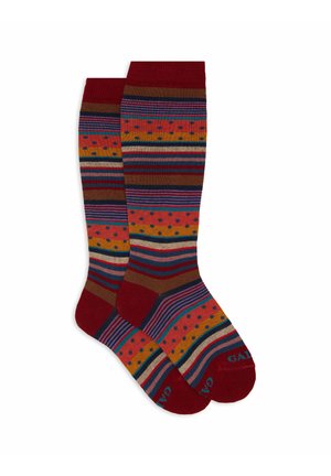 LUNGHE FANTASIA MIX RIGHE E POIS - Calzettoni - dark red