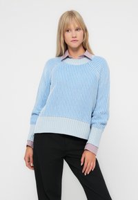 Lichtblauwe ribgebreide trui met contrasterende lichtblauwe zoom, ronde hals en lange mouwen, gedragen over een lichtroze geruite blouse.