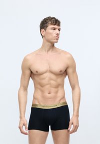 Sorte bomulds boxer briefs med et gold Tommy Hilfiger-logo på taljen, der har en snug pasform og glat tekstur.