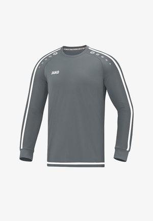FUSSBALL - TEAMSPORT TEXTIL - STRIKER LANGARM - Long sleeved top - grau