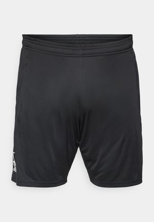 Shorts de sport noirs avec une taille élastique, tissu lisse et un détail de logo sur le bas à gauche. Ajustement personnalisé pour plus de confort.