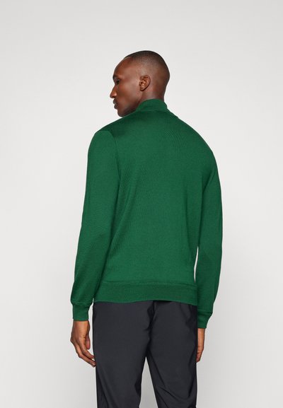 Polo Ralph Lauren LONG SLEEVE - Pullover - new forest/navy