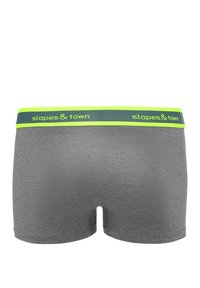 Szare bokserki o gładkiej teksturze. Elastyczny pasek w talii z niebieską lamówką i neonowozielonymi akcentami oraz nazwą marki.