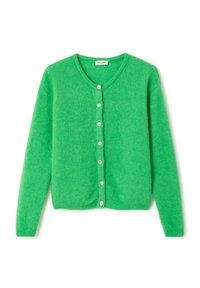 Neizvēlēts, jardin chine