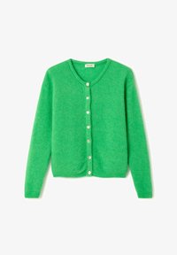 Neizvēlēts, jardin chine