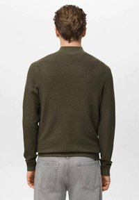 Pullover textured verde oliva con polsini e orlo a coste, caratterizzato da un design semplice. Indossato sopra pantaloni grigi chiari, visto da dietro.