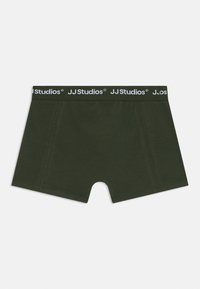 Pánske boxerky z tmavozelenej bavlny s čiernym elastickým pásom s logom "JJ Studios". Hladká textúra, dĺžka do polovice stehna.