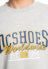 Sudadera gris claro con un gran gráfico en azul y amarillo que dice "DC SHOES Worldwide", con una fecha de establecimiento de 1994. Tejido texturizado.