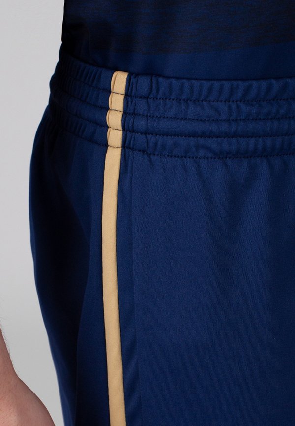 TEAM- ALLROUND - Kurze Sporthose - blaugold