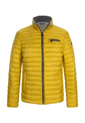 Jan Vanderstorm Heren Donsjack Alfsigr Dark Grey, L - 54