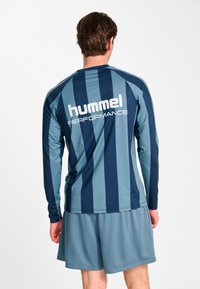 Långärmad sporttröja med vertikala ränder i marinblått och ljusblått, nätstruktur och "hummel PERFORMANCE"-logga på baksidan.
