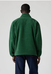 Zaļa flīsa jaka ar augstu apkakli, brīva piegriezuma un mīksts tekstūru. Ir vienkāršs dizains bez redzamām rakstu vai metāla detaļām.