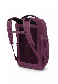 Sac à dos violet avec un dos en maille rembourrée, des bretelles ergonomiques et des compartiments zippés. Il présente un design épuré et structuré ainsi qu'une sangle de poitrine réglable.