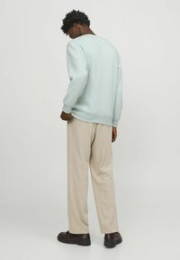 Jack & Jones JORVESTERBRO CREW NECK - Sweater - skylight
