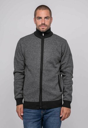 Homme aux cheveux courts et barbe, de face, portant un pull zippé gris foncé et un jean bleu sur un fond clair uni.