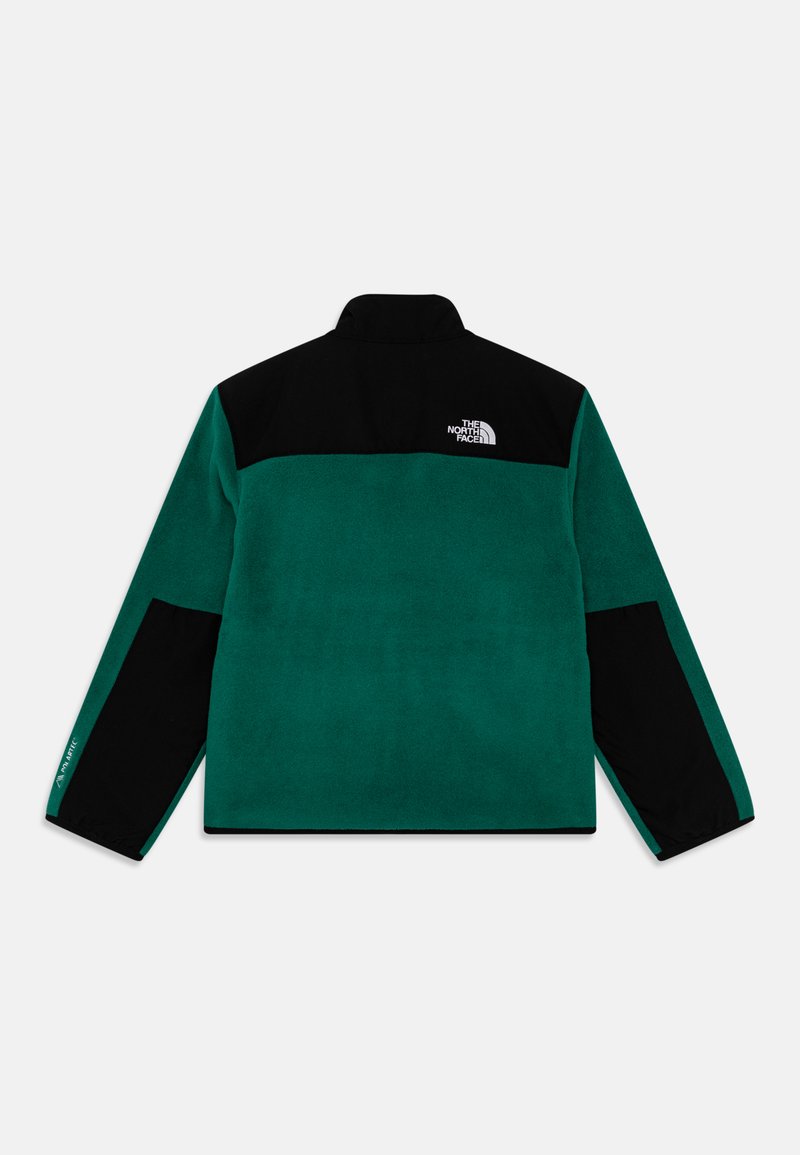 Face Denali North Face Jacket Mint Green The North Face TEEN