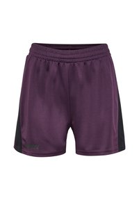 Lilla træningsshorts lavet af let mesh-stof, med sorte sidepaneler og en elastisk talje, samt et logo foran.