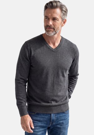 Middle-aged man with grey hair and beard wearing a dark grey V-neck sweater and blue jeans, standing with hands relaxed.