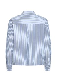 Blau-weiß gestreiftes Langarmhemd mit umgeschlagenem Kragen, von hinten gezeigt, mit geknöpften Manschetten und einem Boxfalte.
